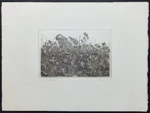 Willem Minderman - Planten, ets kopen? Bied vanaf 45!