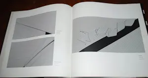 Nico van Stralen - ingelijste grote zeefdruk 'Volging' - extra: een gesigneerd boek kopen? Bied vanaf 100!