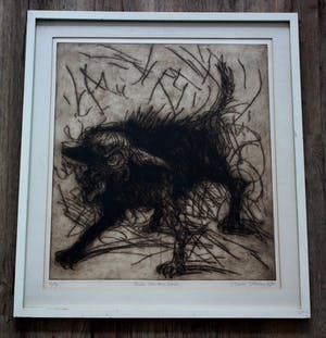 Ronald Tolman - grote ets/aquatint: Studie van een hond - 1980(zeldzaam, klein oplage van 7 !) kopen? Bied vanaf 250!