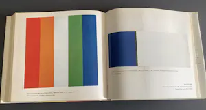 Ellsworth Kelly - Ellsworth Kelly kopen? Bied vanaf 55!