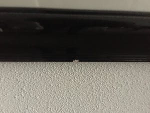 Julian Schnabel - Bandini (his foe pursued) - handbeschilderde zeefdruk met epoxy kopen? Bied vanaf 1750!