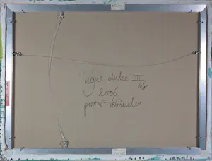 Pieter Vermeulen - Acryl op doek, Agua dulce III kopen? Bied vanaf 250!