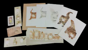 Mohaier Dariush - Lot van 55 litho's!! kopen? Bied vanaf 1!