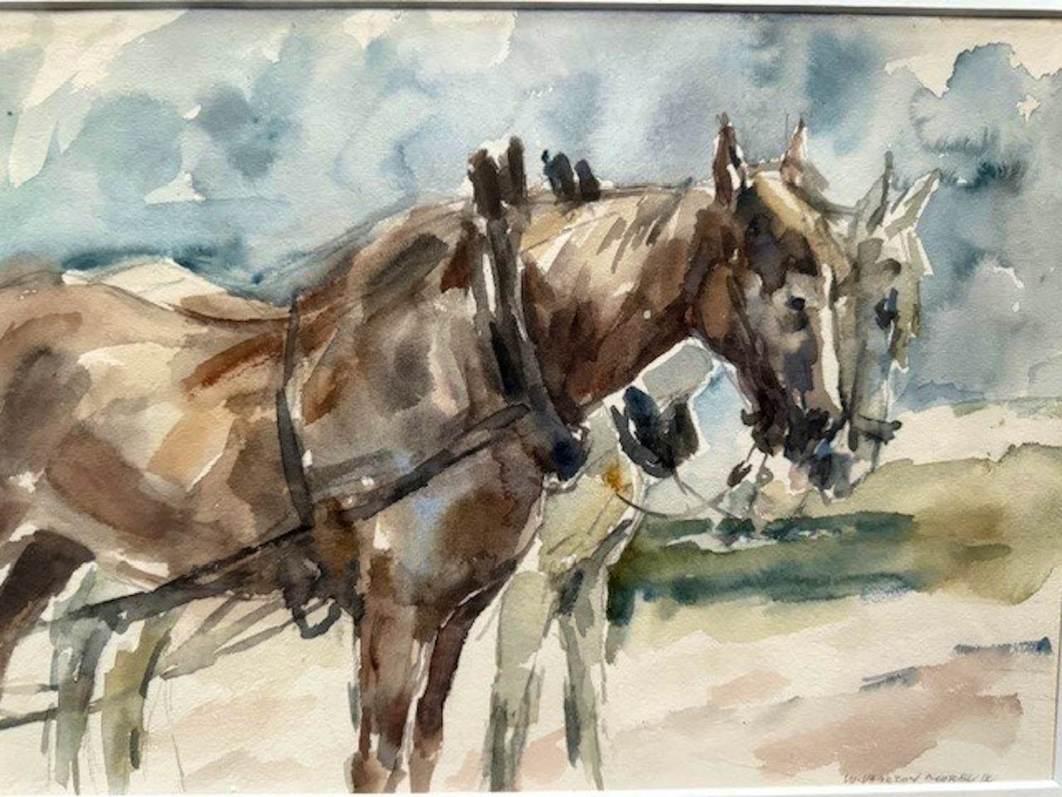 Wim Vaarzon Morel (jr.) - Paarden kopen? Bied vanaf 350!
