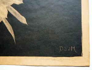 Dora Struick du Moulin - Witte cactus -litho circa 1920- kopen? Bied vanaf 35!