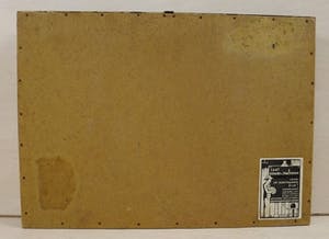 Tilly Moes - Bloemstilleven van oost-Indische kers kopen? Bied vanaf 75!