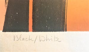 Marianne de Moor - Black/White kopen? Bied vanaf 75!