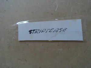 Tejo Remy - Olieverf - Striptease kopen? Bied vanaf 65!