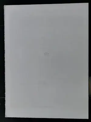 Corneille - Lithografie 'Tournesol' kopen? Bied vanaf 300!