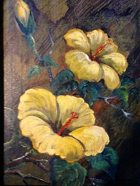 Yvonne Noordam - Gele Hibiscus kopen? Bied vanaf 40!
