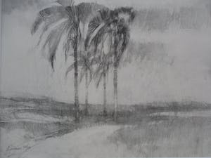 Ab Jongmans - Vier palmen kopen? Bied vanaf 50!