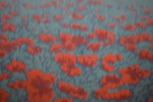 Hans Dolieslager - Klaprozen - kopen? Bied vanaf 120!