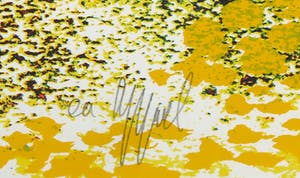 Karel Appel - Zeefdruk, De Tovenaar + Schilderskist! kopen? Bied vanaf 1!