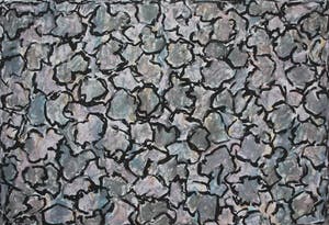 Jan Wolkers - Zeefdruk: Winterbeelden II kopen? Bied vanaf 200!