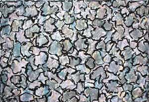 Jan Wolkers - Zeefdruk: Winterbeelden II verkocht voor € 200!