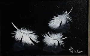 Henk Poeder - Veertjes kopen? Bied vanaf 79!