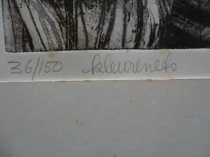 Ria Zurne - kleurenets 'Confrontatie in de geestentuin' kopen? Bied vanaf 25!