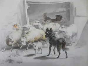 Henriette Ronner-Knip - (1821-1909) Schapen en Honden in Deuropening Schaapskooi kopen? Bied vanaf 250!