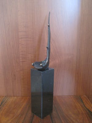 Marlies Noordkamp-Drummen - Samen in het schuitje. kopen? Bied vanaf 40!