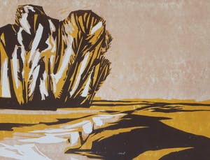 Frank Dekkers - Waard na de Vorst kopen? Bied vanaf 20!