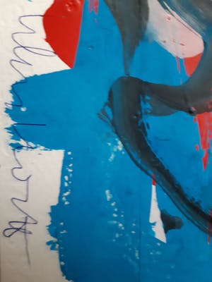 Peter Klashorst - Gemengde techniek - Handgesigneerd !!! kopen? Bied vanaf 80!