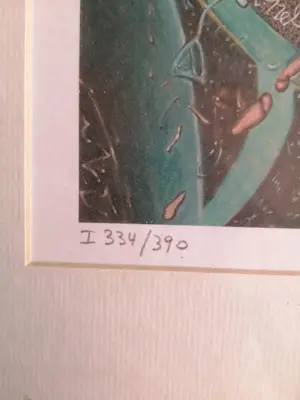 Pjeroo Roobjee - Kapoenen kopen? Bied vanaf 20!