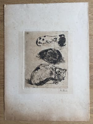 Willem de Zwart - Ets met 4 poezen kopen? Bied vanaf 75!