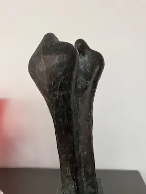 Michiel van Pinxteren - Vruchtbare samenwerking kopen? Bied vanaf 399!