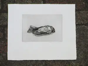 AcheterDick Stolwijk - Dood vogeltje - Ets? Enchérissez de 55!