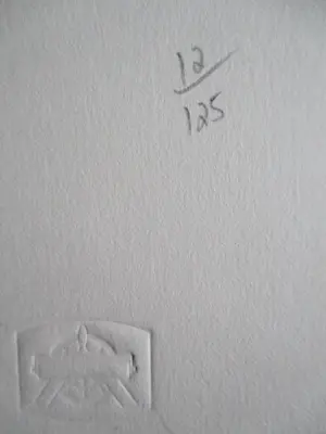 Judy Woodborne - Zeefdruk "Adam and Eve" kopen? Bied vanaf 25!