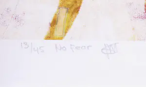 Kim Heesakkers - Foto, No fear - Ingelijst (Groot) kopen? Bied vanaf 50!