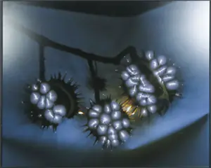 Paul den Hollander - 3 x Digitale print, Luminous Garden #103, #27 en #23 kopen? Bied vanaf 120!