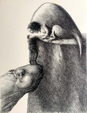 Roland Topor - litho - 'Aidé' - 1979 (Prent 190 - Serie 11A) verkocht voor € 100!
