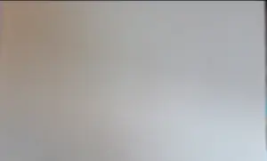 Geert Jan Jansen - Schilder & Kunstvervalser -potloodgesigneerde Litho Matisse "femme séduisante " kopen? Bied vanaf 30!