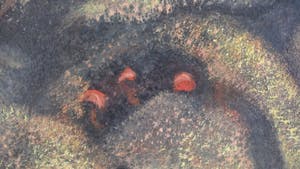 Renaat Saey - Speciale figuren kopen? Bied vanaf 25!