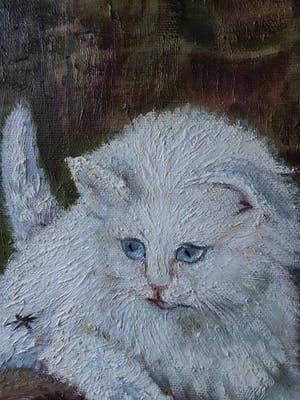 Niet of onleesbaar gesigneerd - Hollandse School - Poes kopen? Bied vanaf 1!