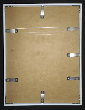 Jaap Luteyn - Vleesetende planten. kopen? Bied vanaf 125!