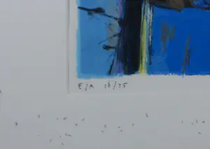 Anneke Peereboom - Zeefduk op papier, Zonder titel - Ingelijst kopen? Bied vanaf 60!