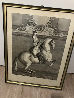 Johann Elias Ridinger - Courbette à droite kaufen? Bieten Sie von 50!