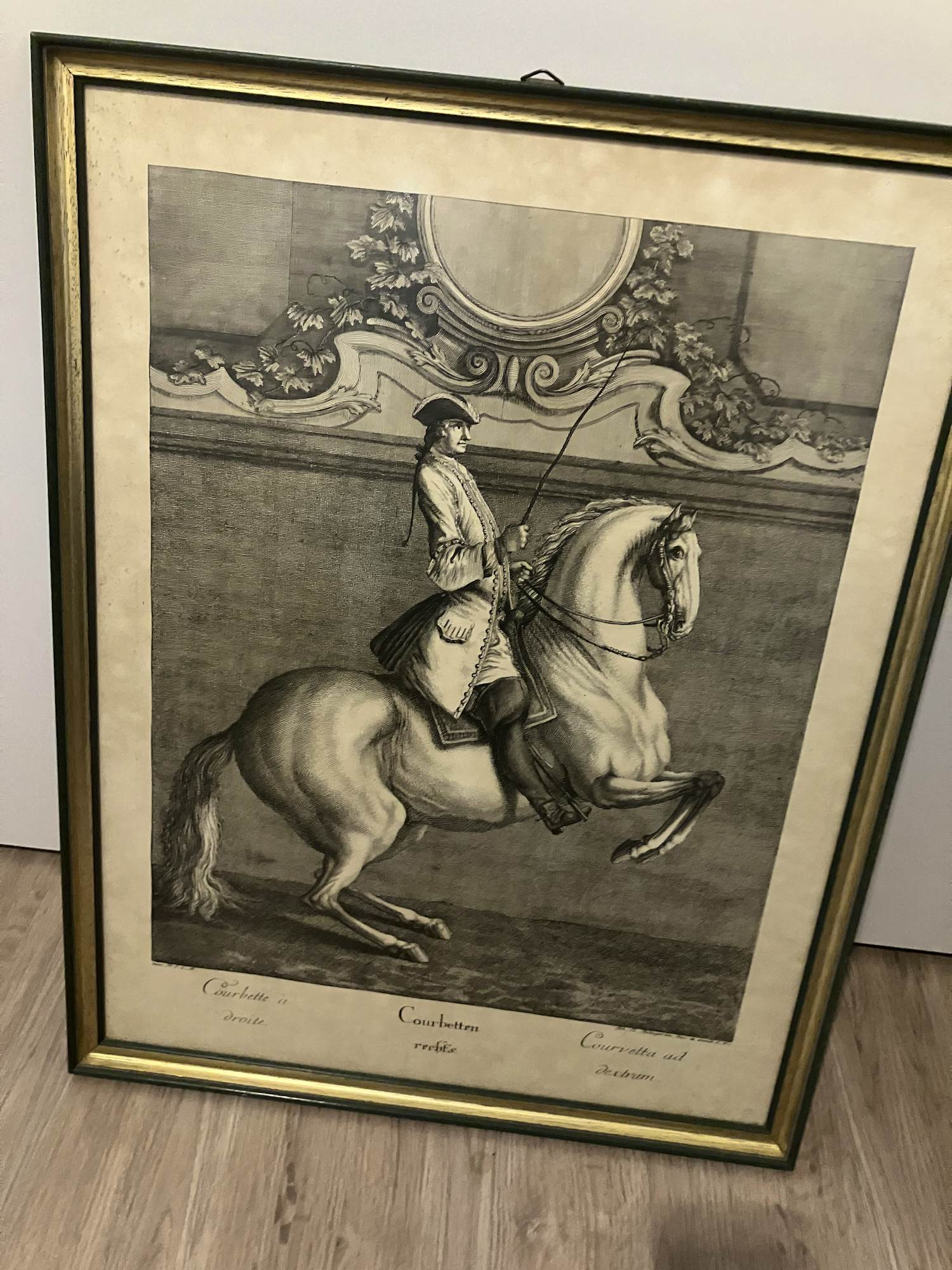 Johann Elias Ridinger - Courbette à droite kopen? Bied vanaf 50!