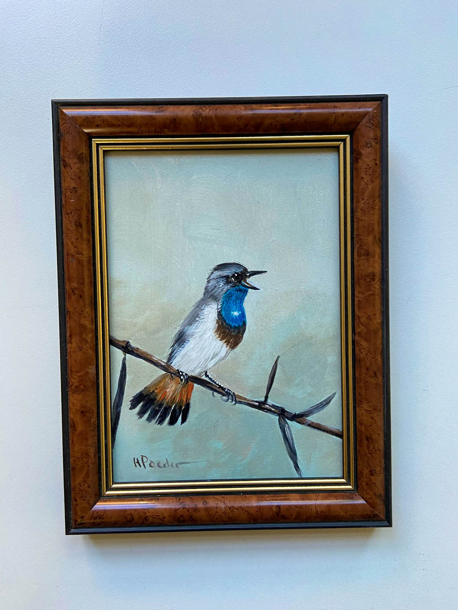 Henk Poeder - Blauwborstje kopen? Bied vanaf 89!