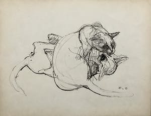 Frits van Eeden - Katten schetsen kopen? Bied vanaf 120!