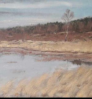 Niet of onleesbaar gesigneerd - Heidelandschap, gesigneerd. kopen? Bied vanaf 10!