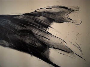 Dick Goudriaan - Groot en Krachtig Houtskool op papier "Wilde Hond" gesigneerd kopen? Bied vanaf 1!