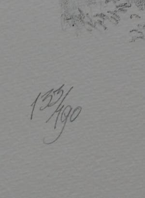 Peter Vos - Litho: De ontdekking van de giraffe kopen? Bied vanaf 150!