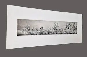 Gerard van Rooy - grote "panorama" Ets (vd drukker) "oud Erf" - beperkte oplage (28/75) kaufen? Bieten Sie von 40!