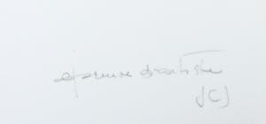 JCJ VANDERHEYDEN - Zeefdruk, Deshima kopen? Bied vanaf 1!