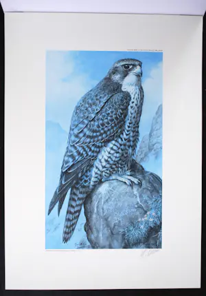 Hendrik Johannes Slijper - Giervalk, Noorwegen 1987 - oplage 350, handgesigneerd - groot - kopen? Bied vanaf 95!