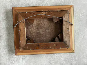 Hermanus van Tankeren - Kippen in de stal kopen? Bied vanaf 65!