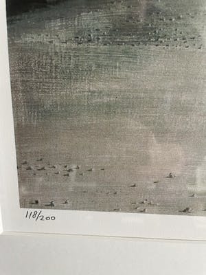 Carel Willink - Mooie grote zeefdruk kopen? Bied vanaf 225!